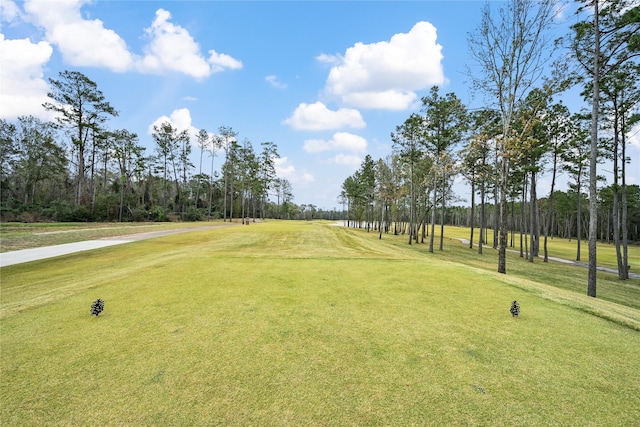 view of community with a yard