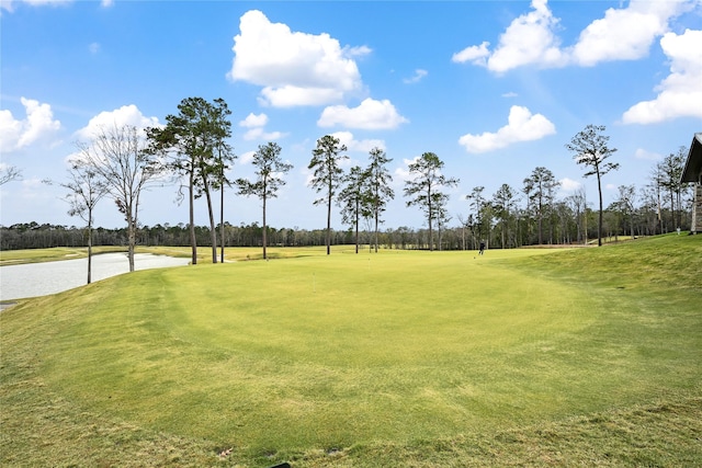 view of property's community with a lawn