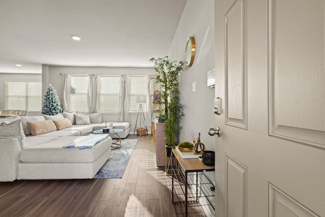 living room with dark hardwood / wood-style floors