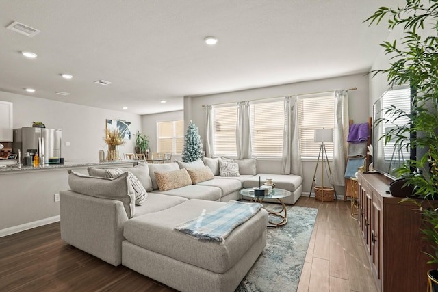 living room featuring hardwood / wood-style floors