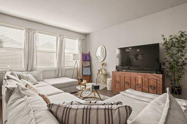 living room with hardwood / wood-style flooring