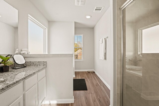 bathroom featuring wood-type flooring, vanity, a shower with door, and plenty of natural light