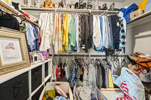 view of spacious closet