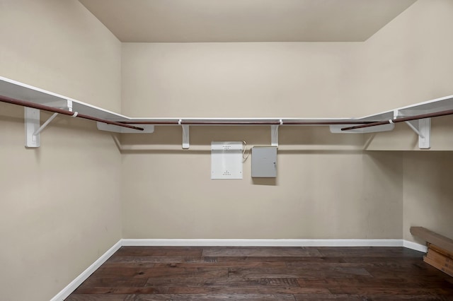 walk in closet featuring dark wood-type flooring