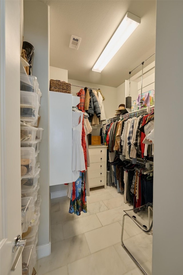 view of spacious closet