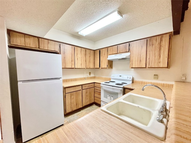 kitchen featuring a textured ceiling, white appliances, light hardwood / wood-style flooring, and sink