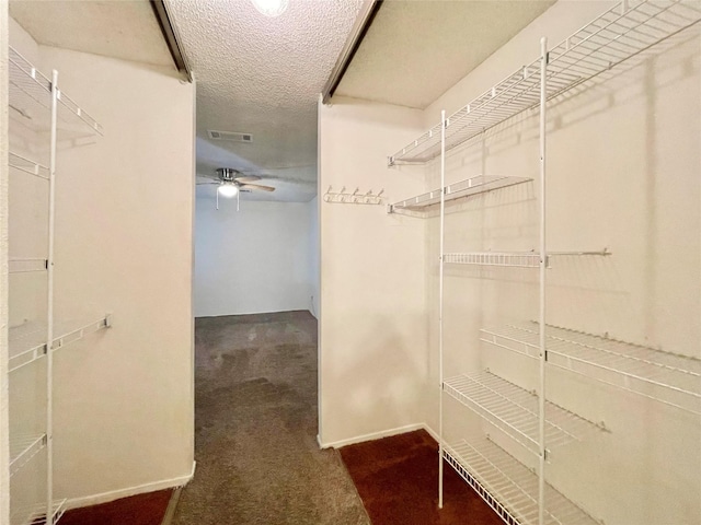 walk in closet featuring carpet flooring and ceiling fan