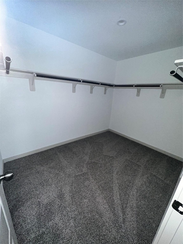 spacious closet with carpet floors