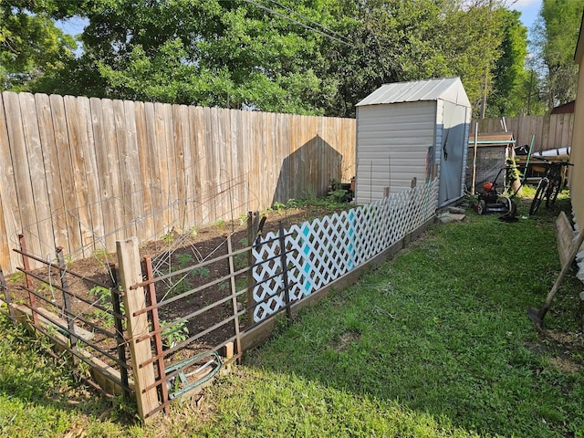 view of yard with a storage shed