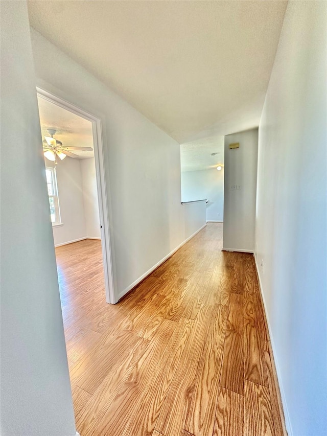 spare room featuring light hardwood / wood-style flooring