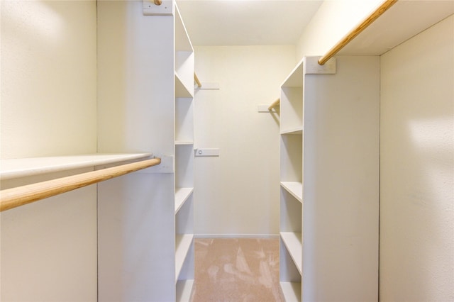 walk in closet featuring light colored carpet