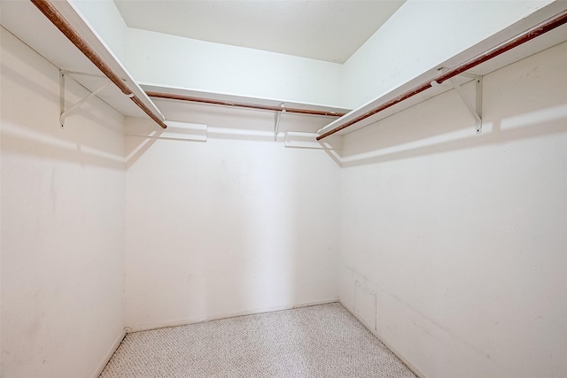 walk in closet featuring light colored carpet