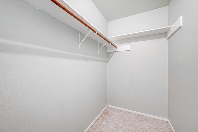 walk in closet with carpet floors