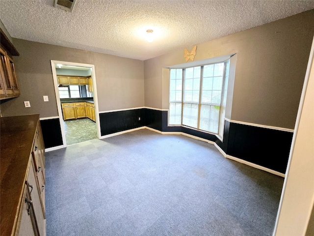 spare room with carpet floors, a wealth of natural light, and a textured ceiling