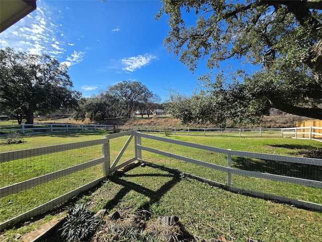 view of yard with a rural view