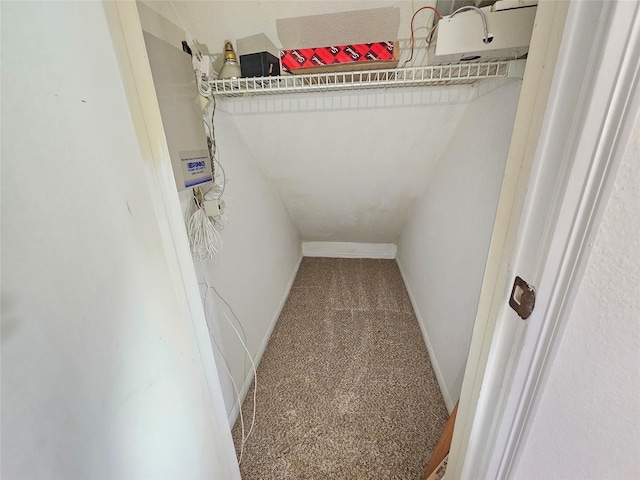 spacious closet featuring carpet floors