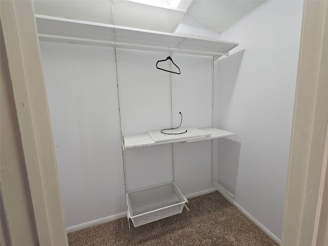 spacious closet with carpet