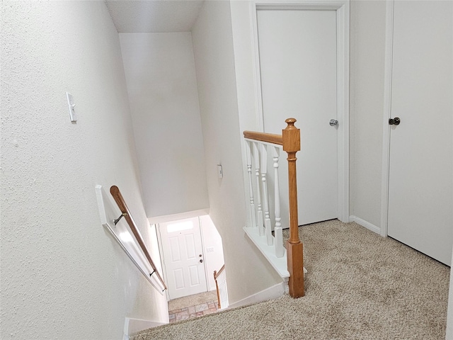 staircase with carpet floors