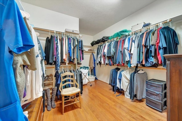 spacious closet with hardwood / wood-style flooring