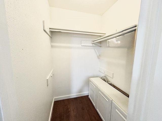 spacious closet with dark hardwood / wood-style flooring