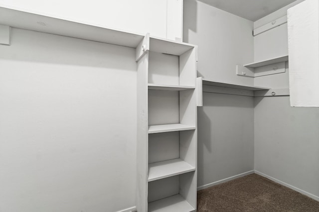 walk in closet with dark colored carpet