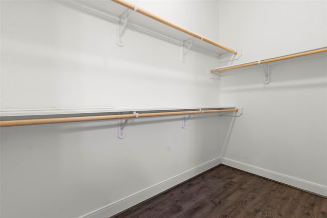 spacious closet with dark wood-type flooring