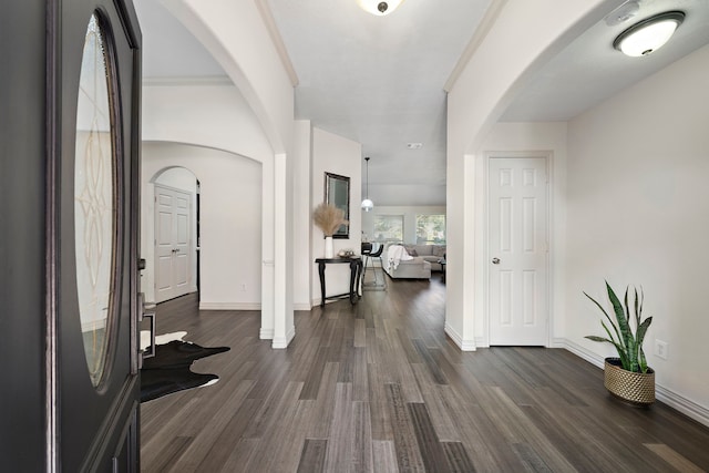 foyer featuring crown molding and dark hardwood / wood-style floors