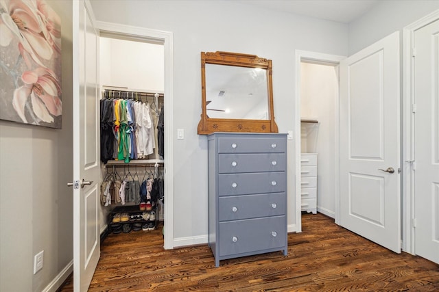 spacious closet featuring dark hardwood / wood-style flooring