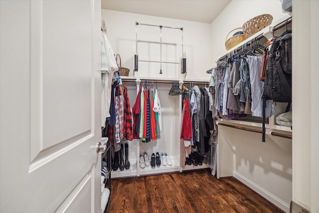 spacious closet featuring dark hardwood / wood-style floors