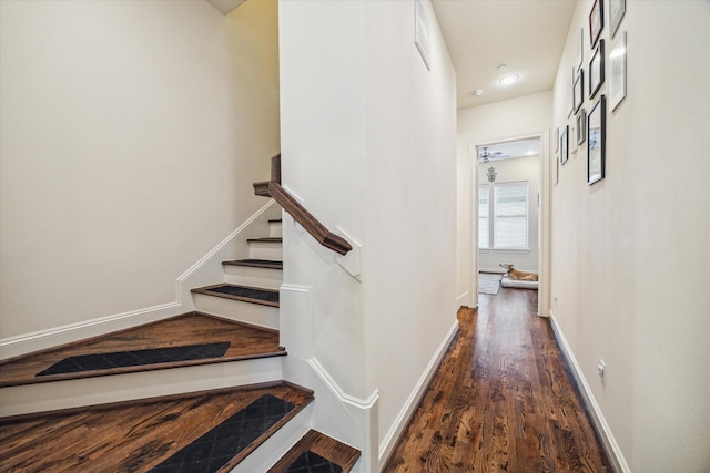 stairs featuring wood-type flooring