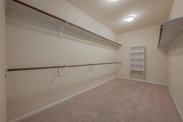 spacious closet featuring carpet