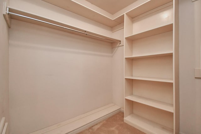 walk in closet with light carpet