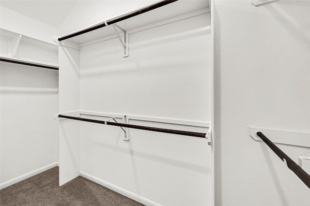 walk in closet featuring carpet and lofted ceiling