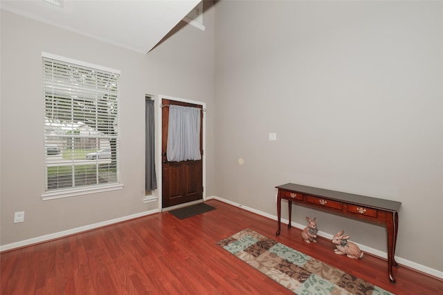 entrance foyer with wood-type flooring