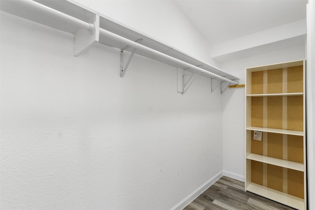 spacious closet with wood-type flooring