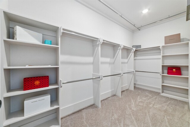 spacious closet with light carpet and electric panel