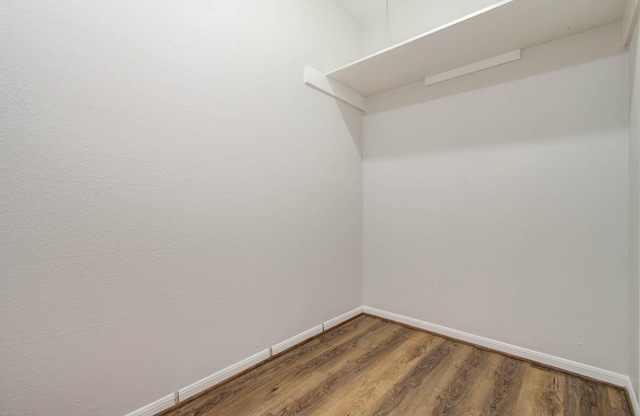 spacious closet featuring dark wood-type flooring