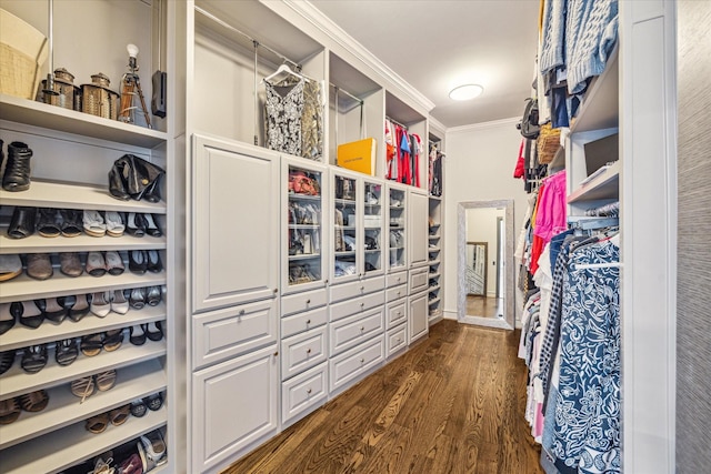 spacious closet with dark wood-type flooring