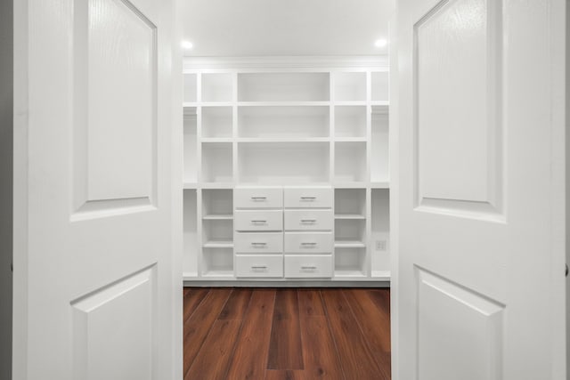 spacious closet featuring dark hardwood / wood-style floors