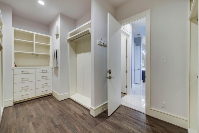 spacious closet with dark wood-type flooring