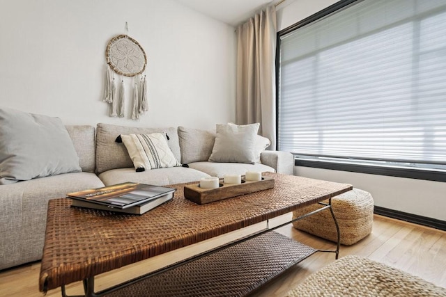 living room with light wood-type flooring and radiator