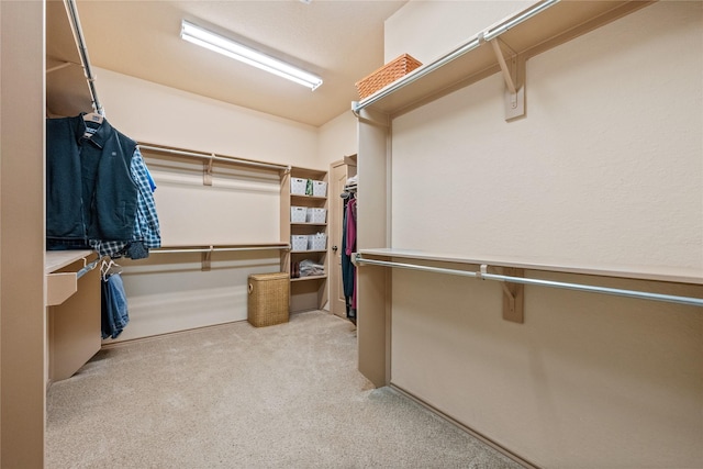 spacious closet with light carpet