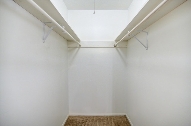 spacious closet with carpet