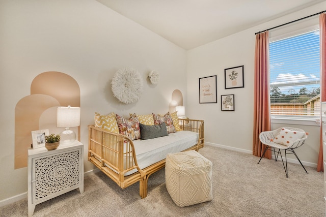 sitting room featuring carpet flooring