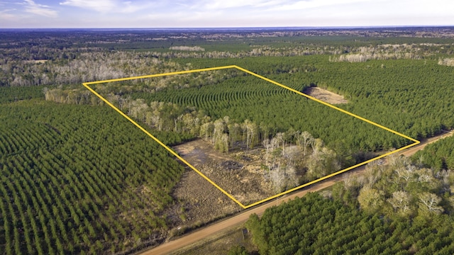 950 Tram Rd, Livingston TX, 77351 land for sale