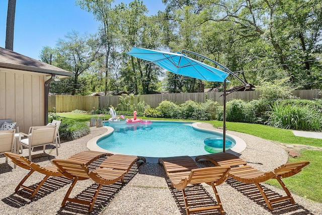 view of swimming pool with a patio area