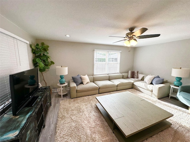 living room featuring ceiling fan, hardwood / wood-style floors, and a textured ceiling