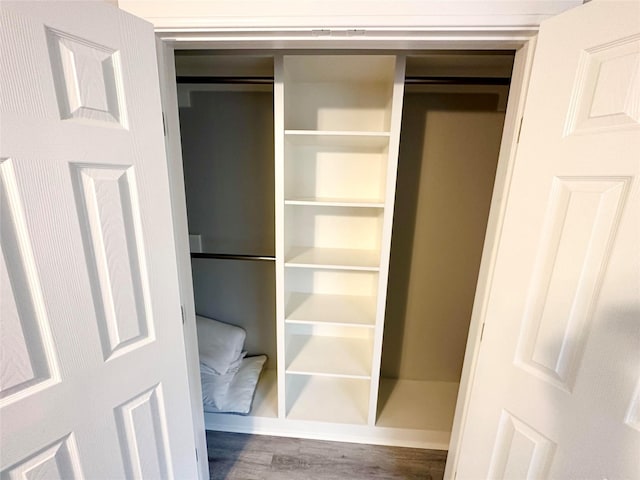 view of closet