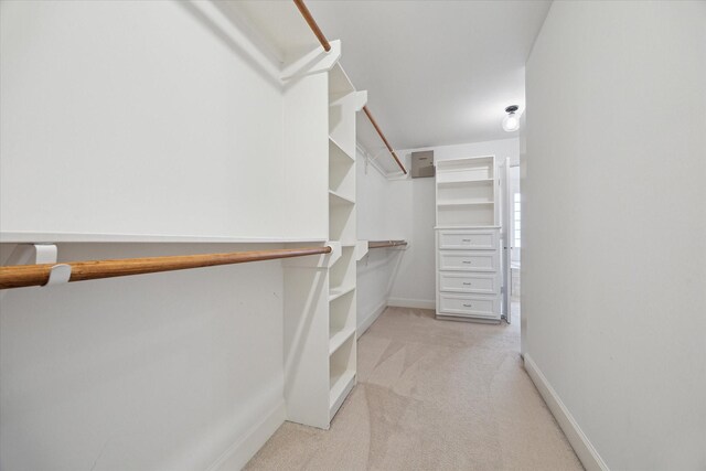 spacious closet with light colored carpet