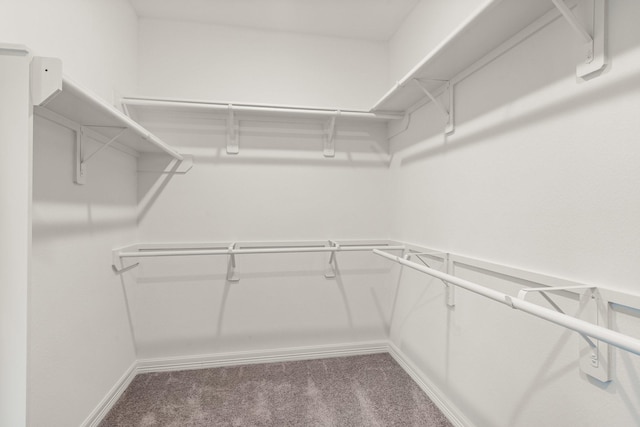 spacious closet with carpet floors